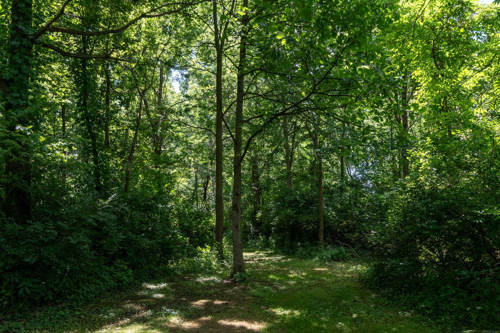 3100 River Road Sodus, MI 49126 - Photo 24 of 69 3100 River Rd-24