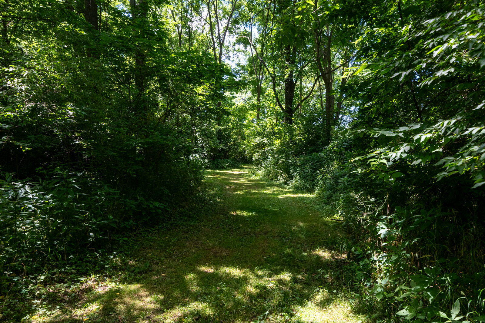 3100 River Road Sodus, MI 49126 - Photo 25 of 69 3100 River Rd-25