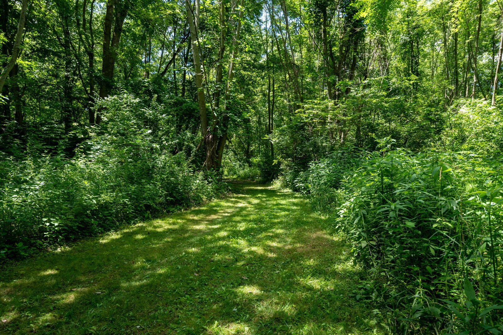 3100 River Road Sodus, MI 49126 - Photo 27 of 69 3100 River Rd-27