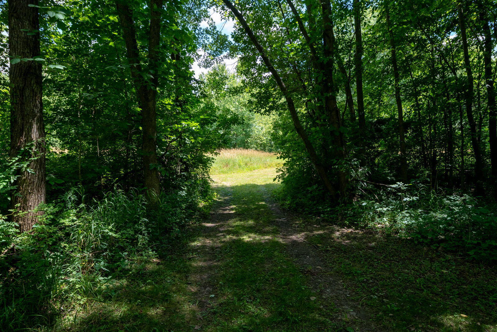 3100 River Road Sodus, MI 49126 - Photo 28 of 69 3100 River Rd-28