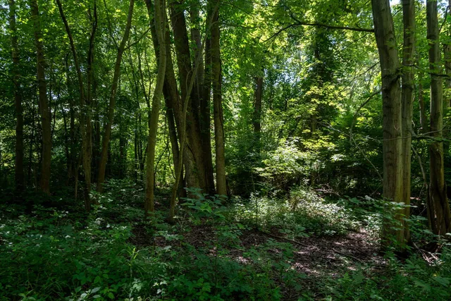 $699,999 | 3100 River Road, Sodus, MI 49126