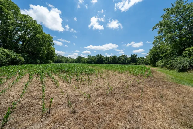 $699,999 | 3100 River Road, Sodus, MI 49126