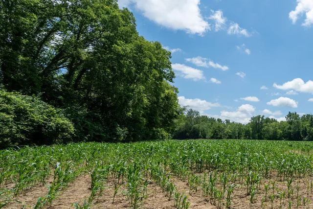 $699,999 | 3100 River Road, Sodus, MI 49126