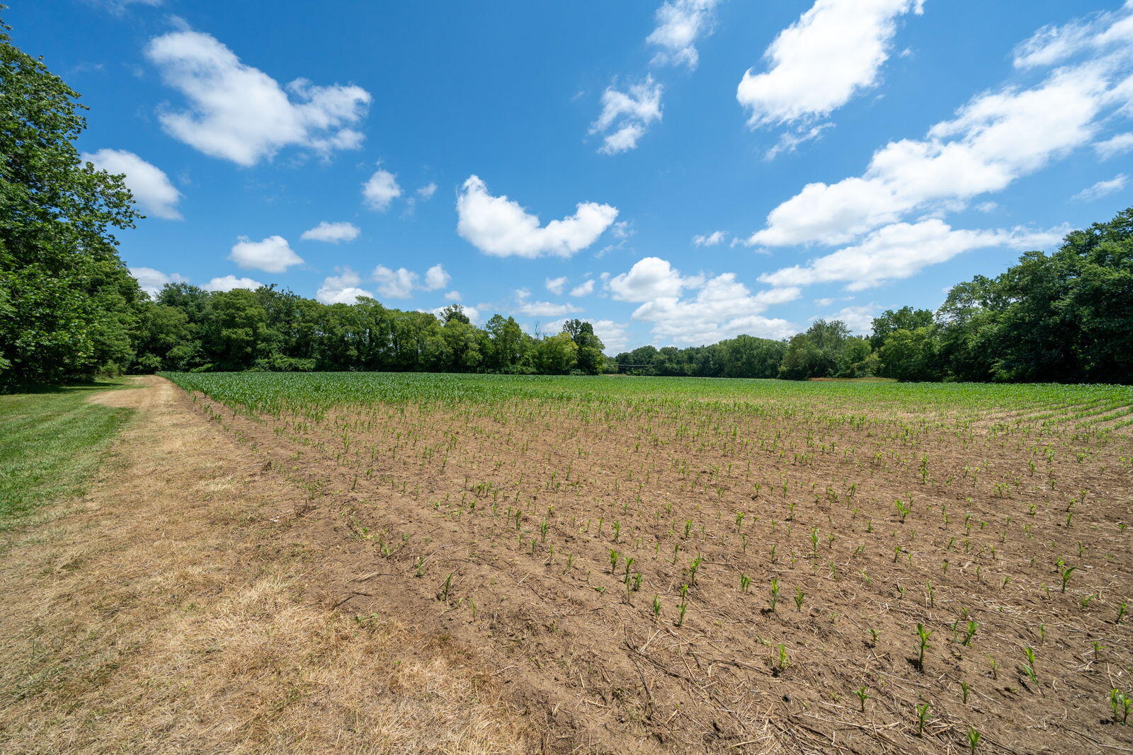 3100 River Road Sodus, MI 49126 - Photo 34 of 69 3100 River Rd-11