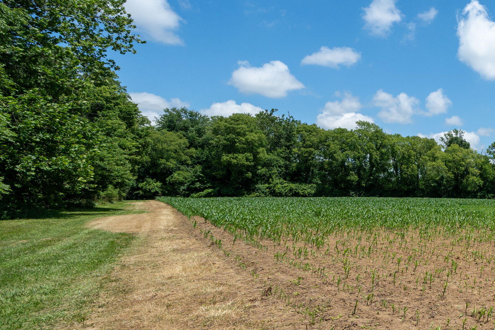 3100 River Road Sodus, MI 49126 - Photo 35 of 69 3100 River Rd-12