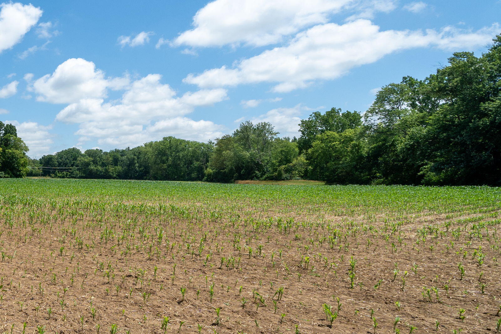 3100 River Road Sodus, MI 49126 - Photo 36 of 69 3100 River Rd-13