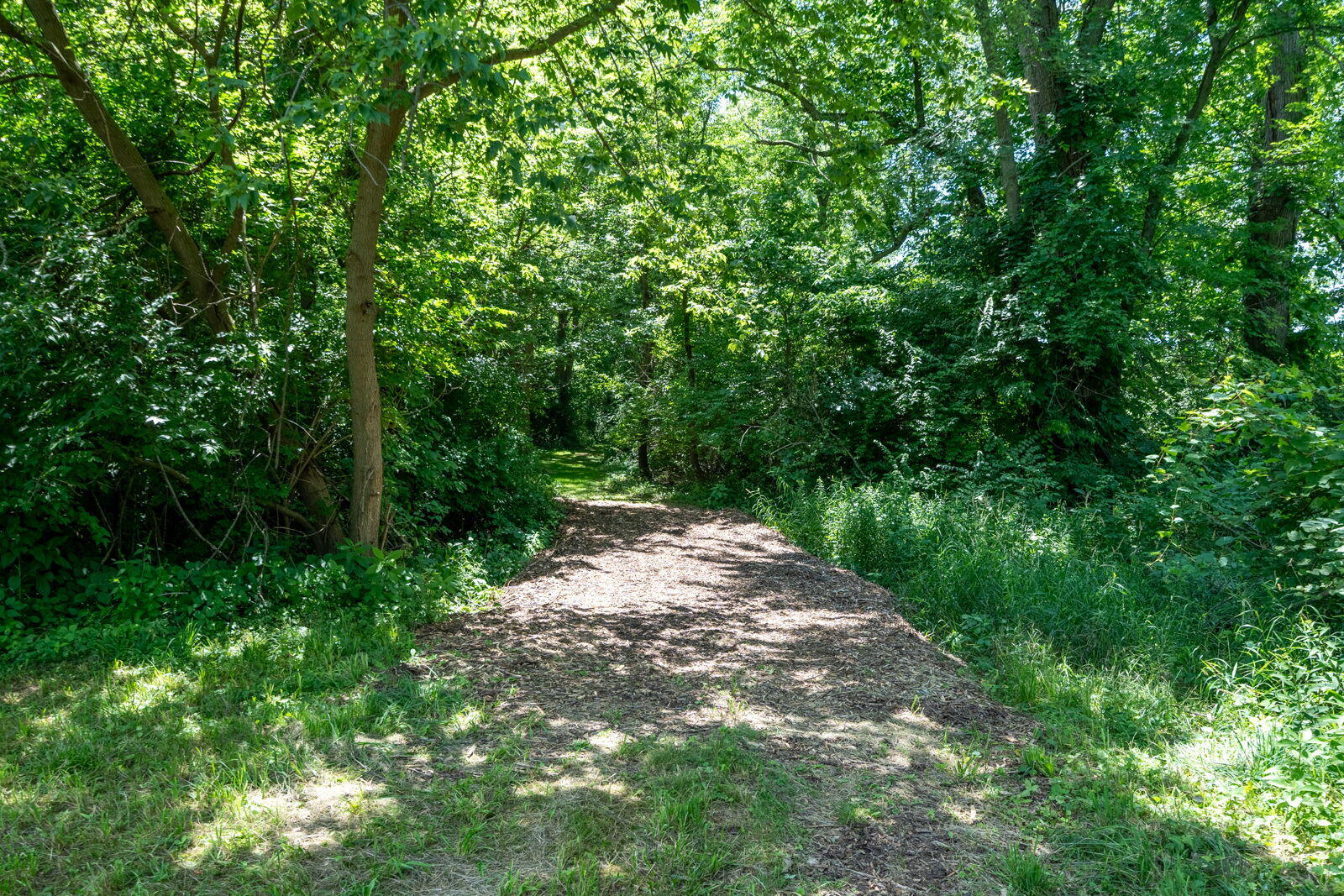 3100 River Road Sodus, MI 49126 - Photo 38 of 69 3100 River Rd-19