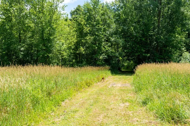 $699,999 | 3100 River Road, Sodus, MI 49126