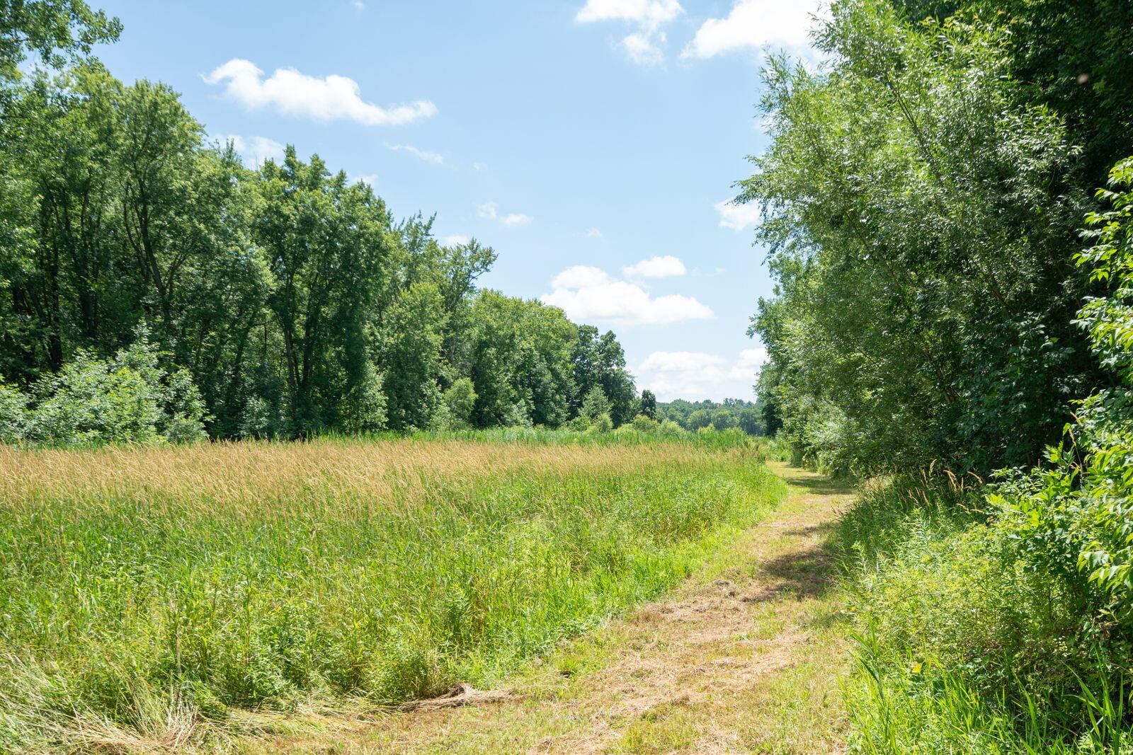 3100 River Road Sodus, MI 49126 - Photo 40 of 69 3100 River Rd-31