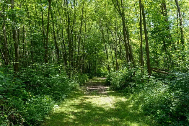 $699,999 | 3100 River Road, Sodus, MI 49126