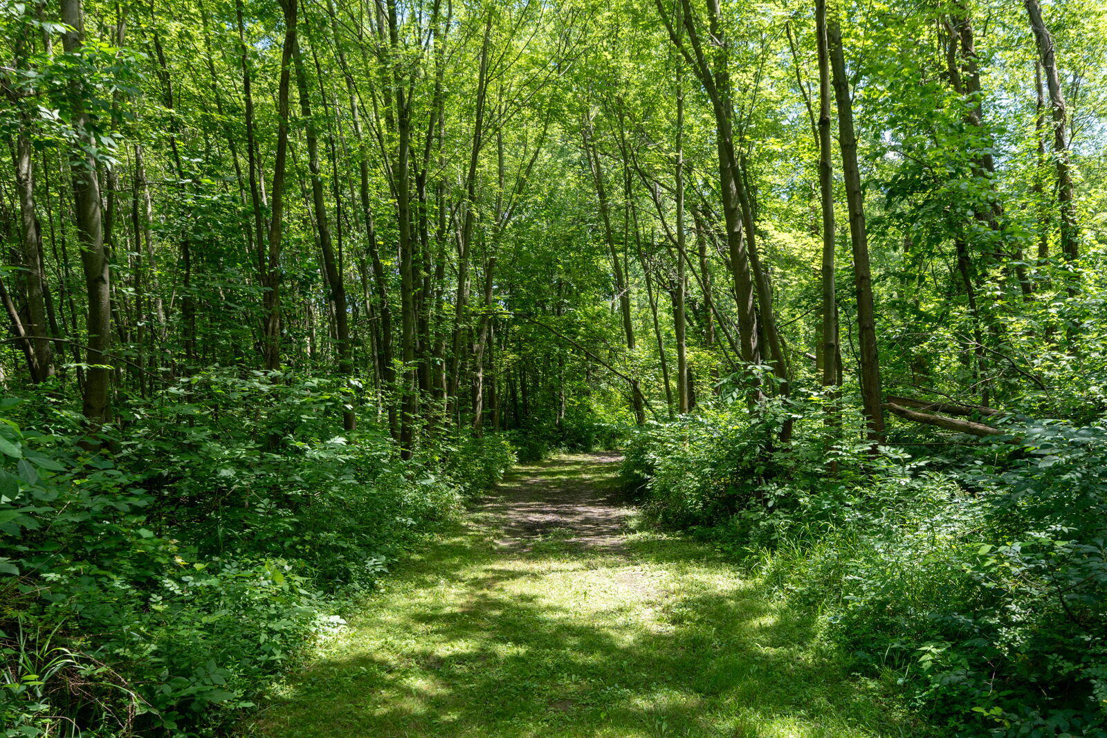3100 River Road Sodus, MI 49126 - Photo 42 of 69 3100 River Rd-33