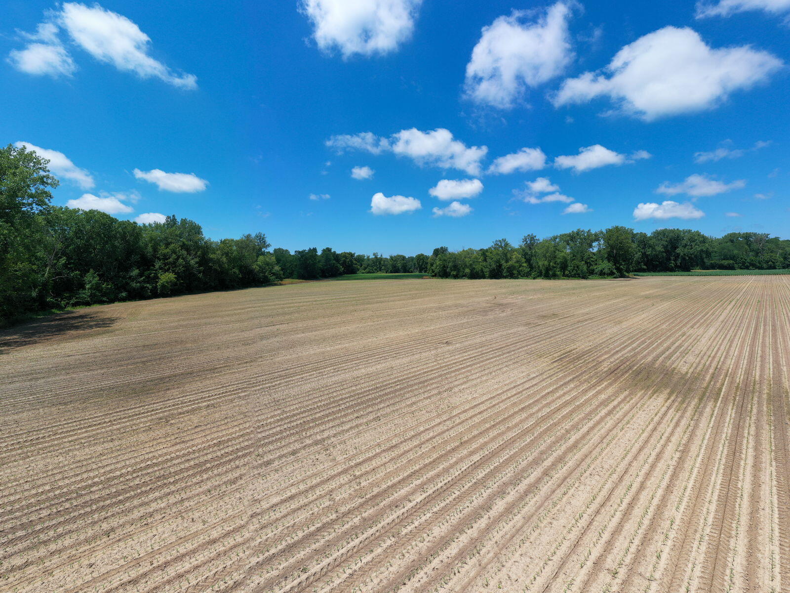 3100 River Road Sodus, MI 49126 - Photo 44 of 69 3100 River Rd-35
