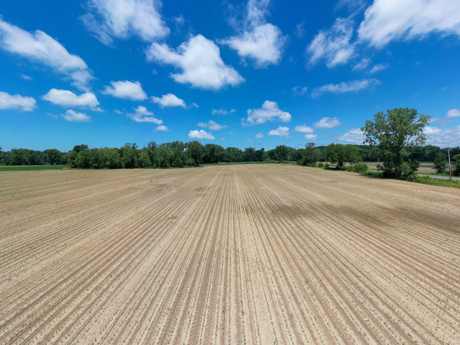 3100 River Road Sodus, MI 49126 - Photo 45 of 69 3100 River Rd-36