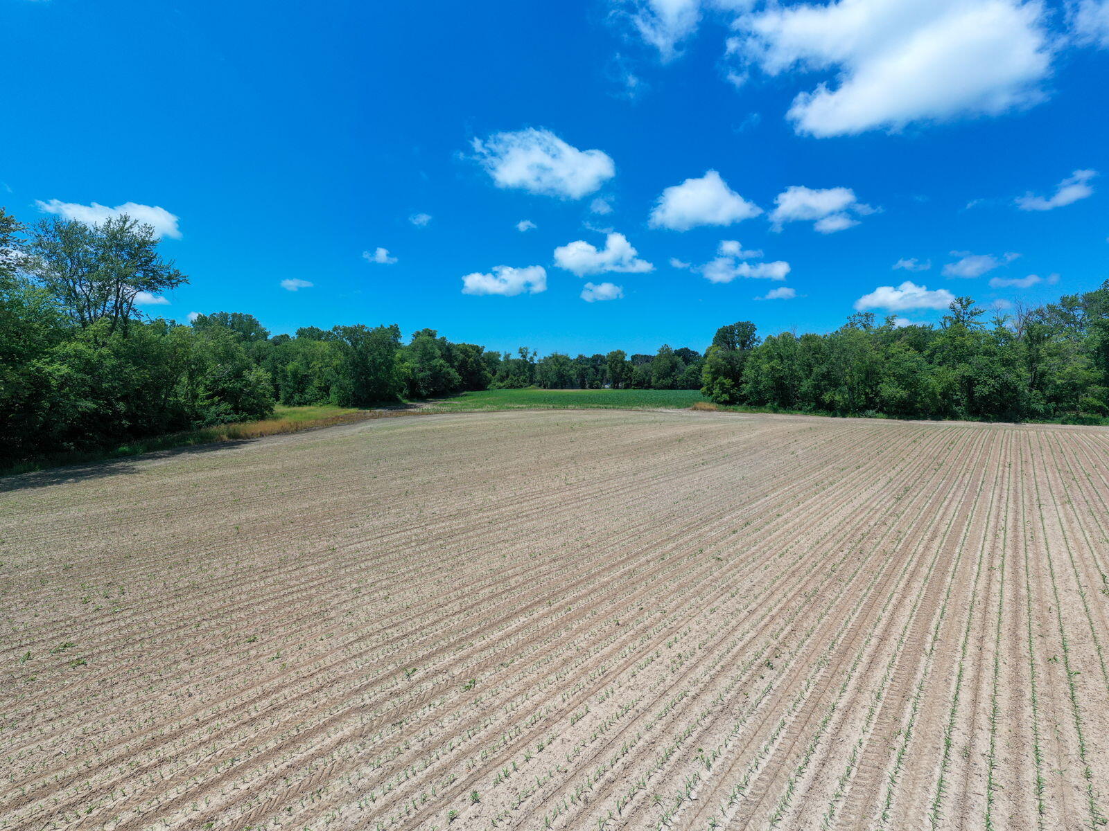 3100 River Road Sodus, MI 49126 - Photo 46 of 69 3100 River Rd-37