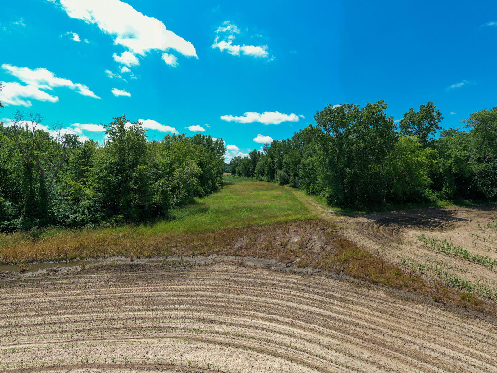 3100 River Road Sodus, MI 49126 - Photo 48 of 69 3100 River Rd-39
