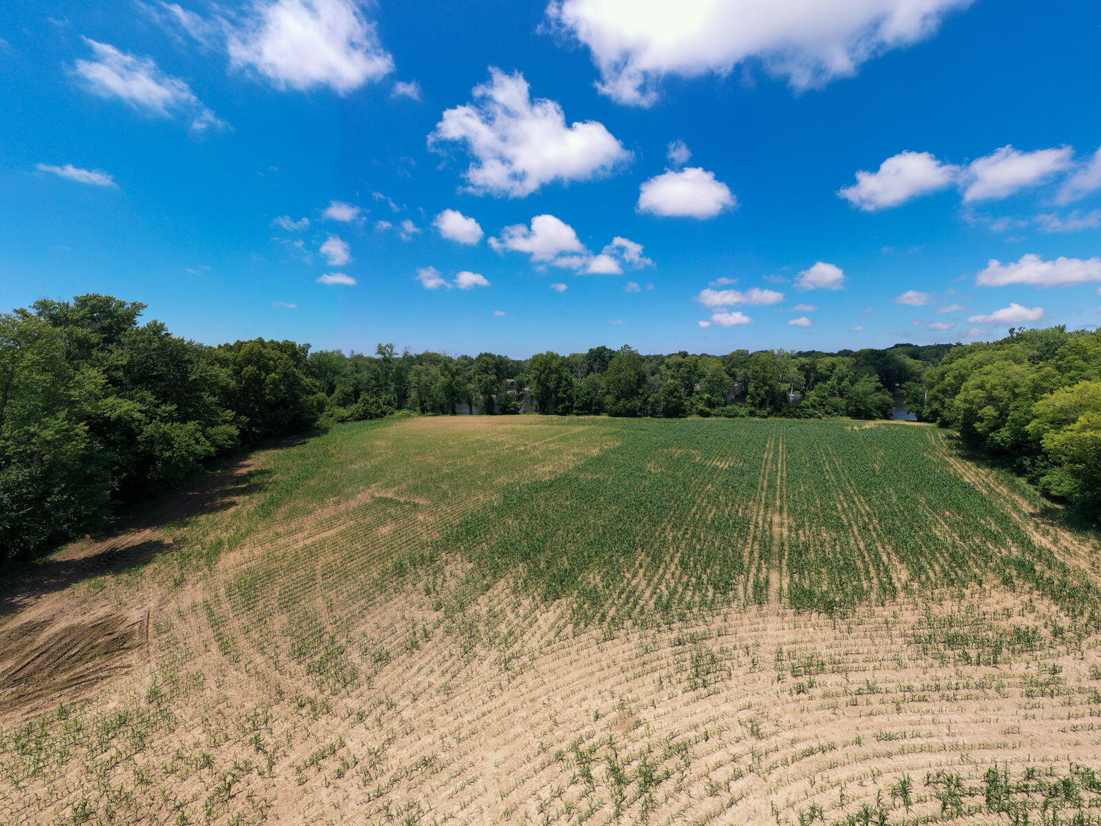 3100 River Road Sodus, MI 49126 - Photo 49 of 69 3100 River Rd-40