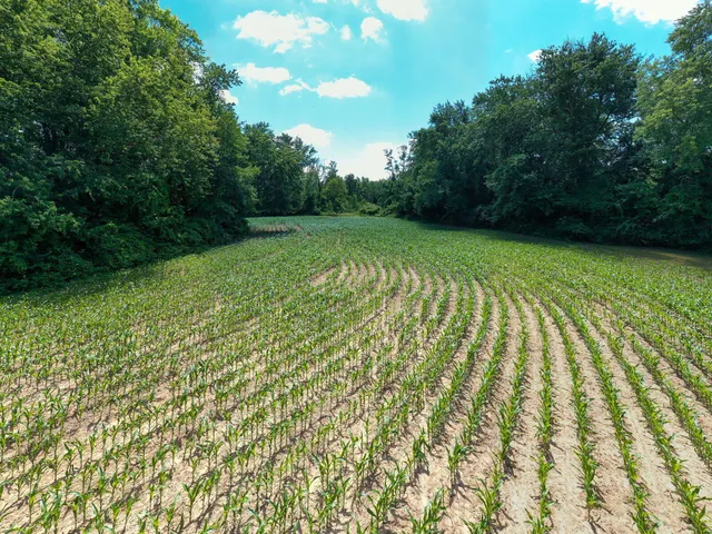 $699,999 | 3100 River Road, Sodus, MI 49126