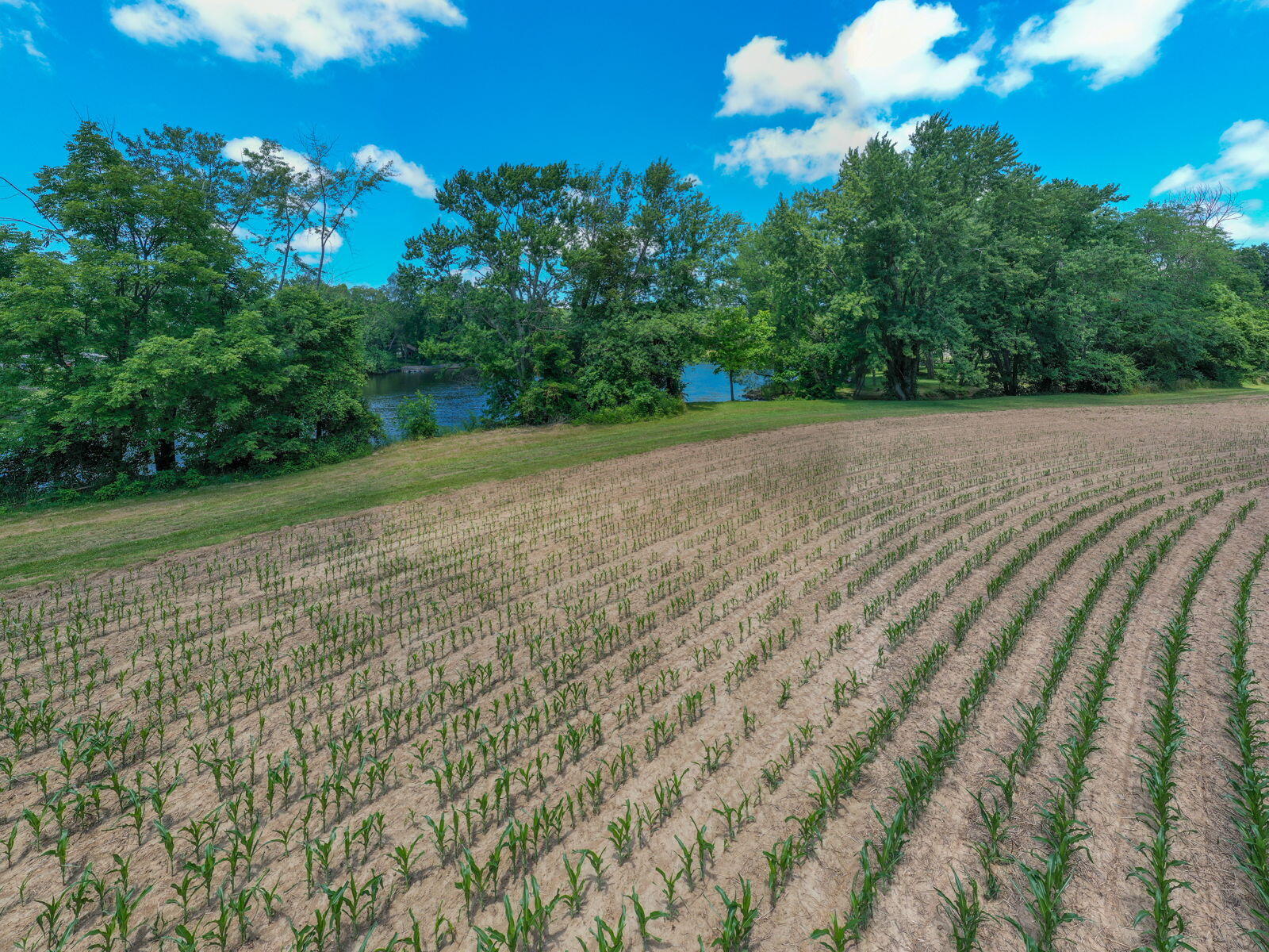 3100 River Road Sodus, MI 49126 - Photo 55 of 69 3100 River Rd-57