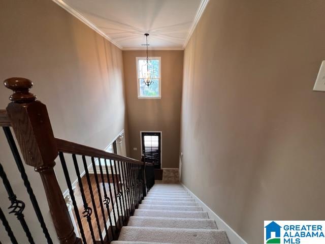 2079 Chalybe Way Bessemer, AL 35022 - Photo 16 of 17