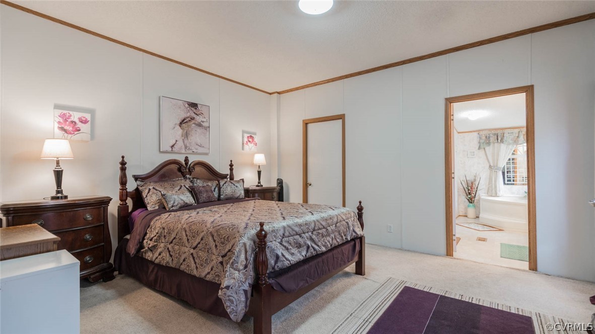 7511 Trinity Church Road Church Road, VA 23833 - Photo 44 of 50 Gallery Image 44