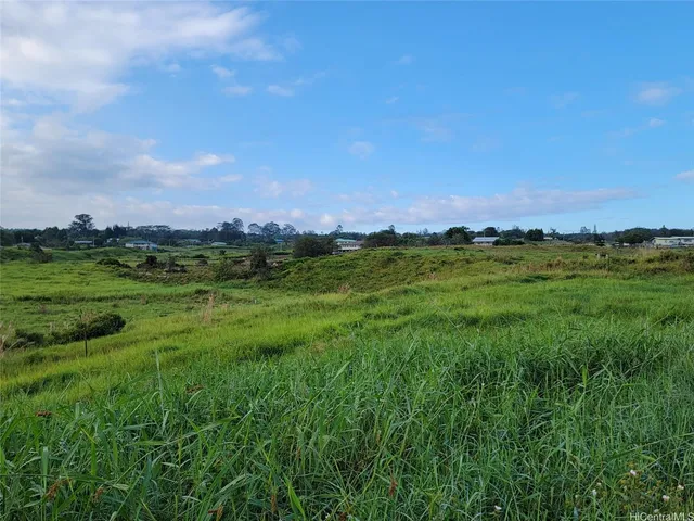 a view of a grassy field with trees