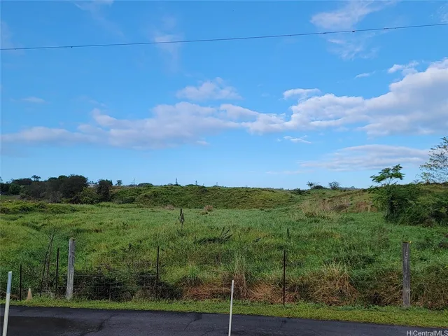 a view of a grassy field with trees