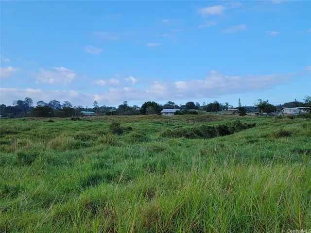 a view of a green field with a tree in the background