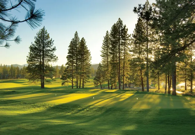 a view of swimming pool with trees and grass