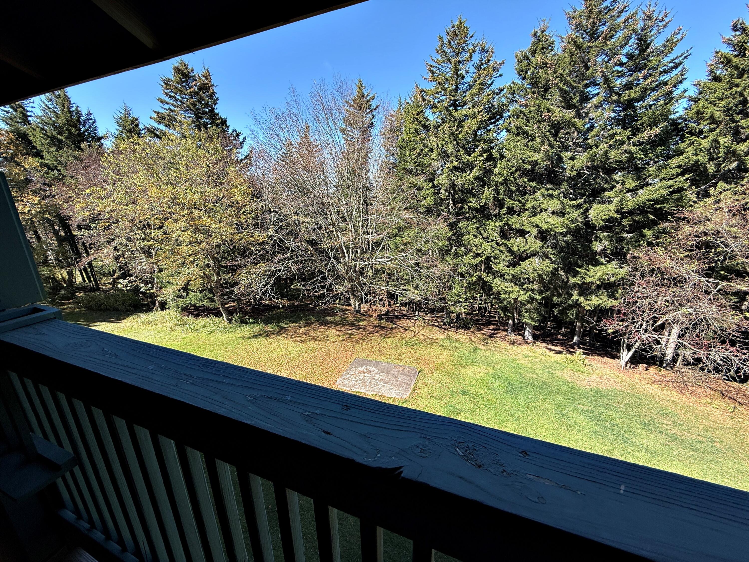 58 Ridgewood Street Snowshoe, WV 26209 - Photo 11 of 29 Gallery Image 11