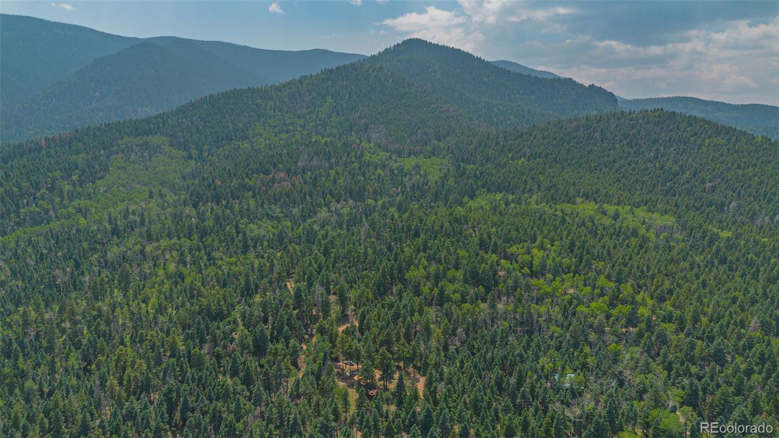 9796 Highway 165 Rye, CO 81069 - Photo 22 of 24 a view of a lush green hillside and a mountain