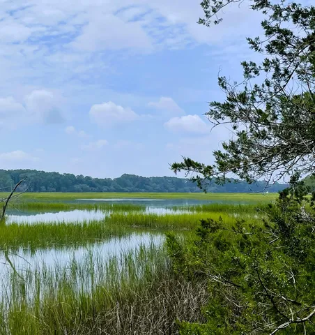 $210,000 | Lot D-2 Toogoodoo Road, Meggett, SC 29449