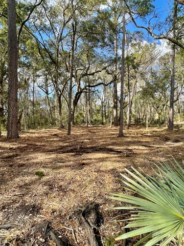 $210,000 | Lot D-2 Toogoodoo Road, Meggett, SC 29449