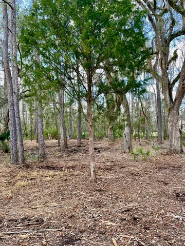$210,000 | Lot D-2 Toogoodoo Road, Meggett, SC 29449