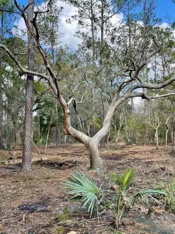 $210,000 | Lot D-2 Toogoodoo Road, Meggett, SC 29449