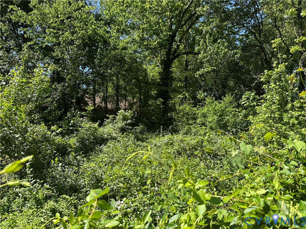 305 Myrtle Street, Unit A Ashland, VA 23005 - Photo 47 of 59 a view of a lush green forest