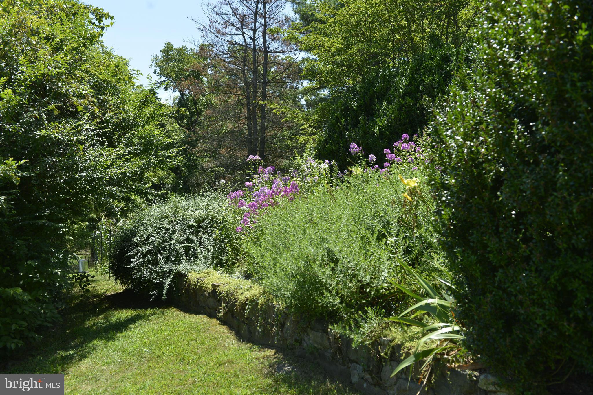 20362 Furr Road Round Hill, VA 20141 - Photo 16 of 20 Exterior (General)