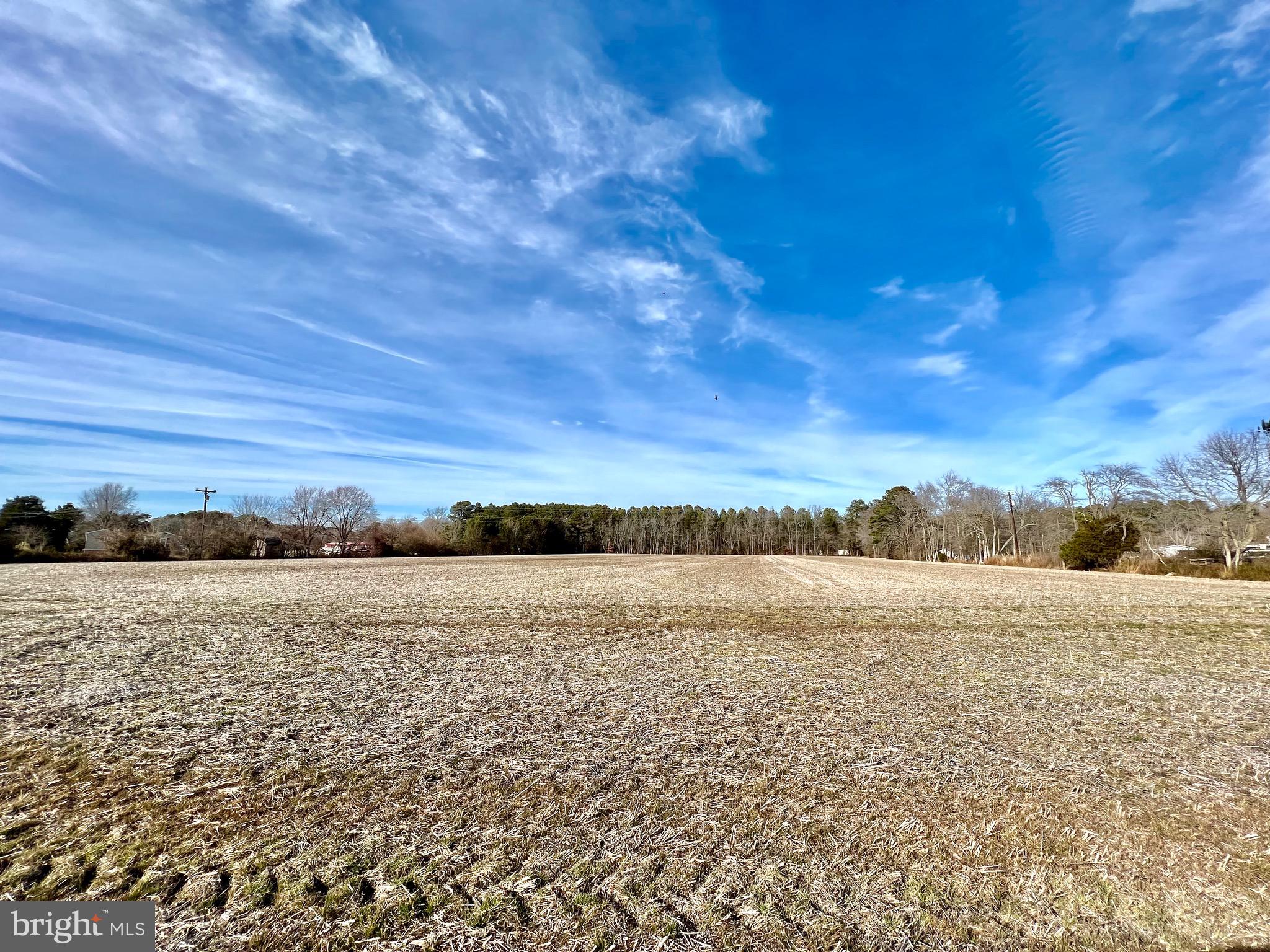 97 Whites Road Marion Station, MD 21838 - Photo 1 of 6