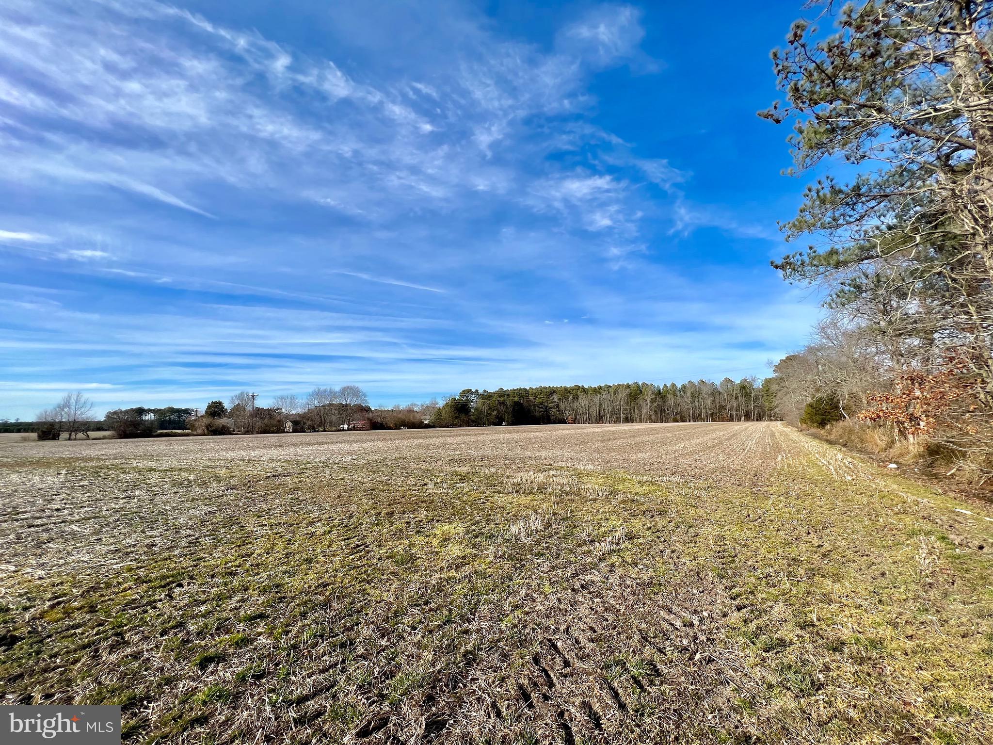 97 Whites Road Marion Station, MD 21838 - Photo 4 of 6