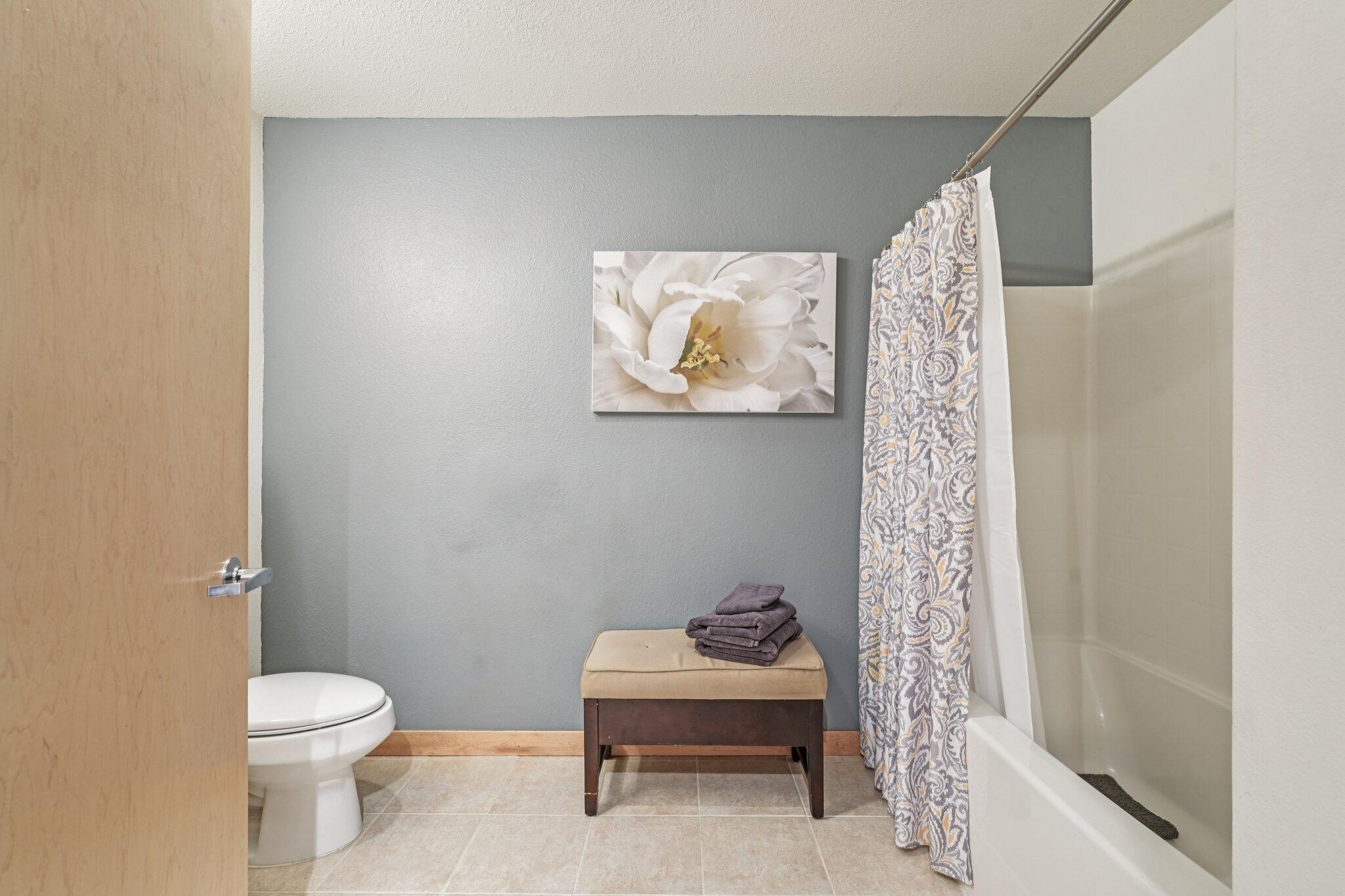 106 West Seeboth Street, Unit 908 Milwaukee, WI 53204 - Photo 18 of 48 Bathroom One