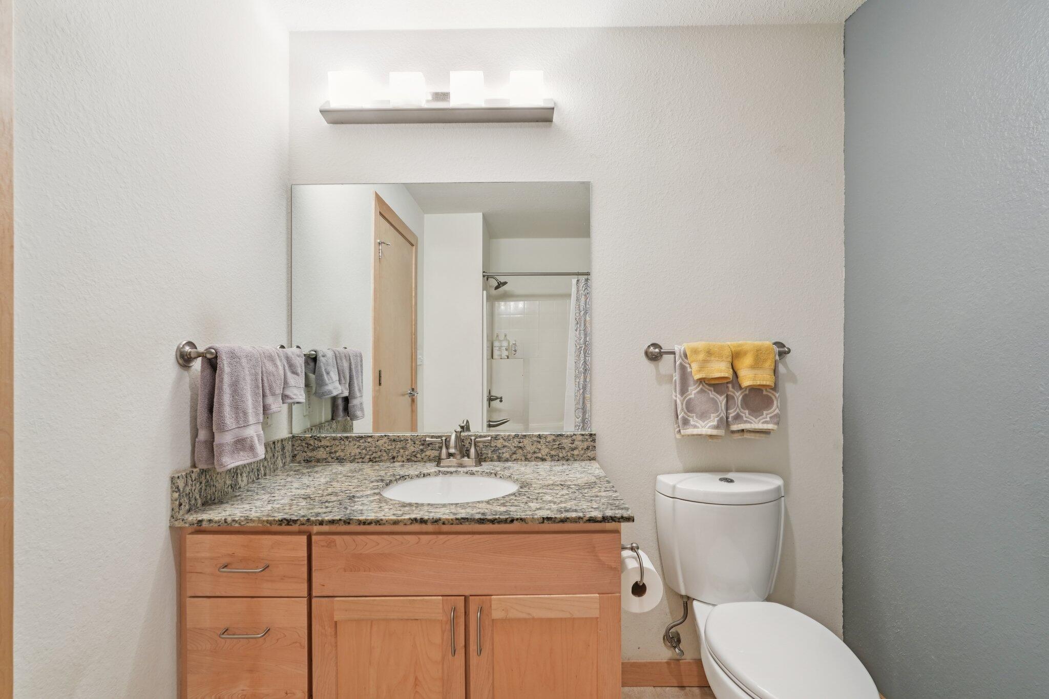 106 West Seeboth Street, Unit 908 Milwaukee, WI 53204 - Photo 19 of 48 Bathroom One