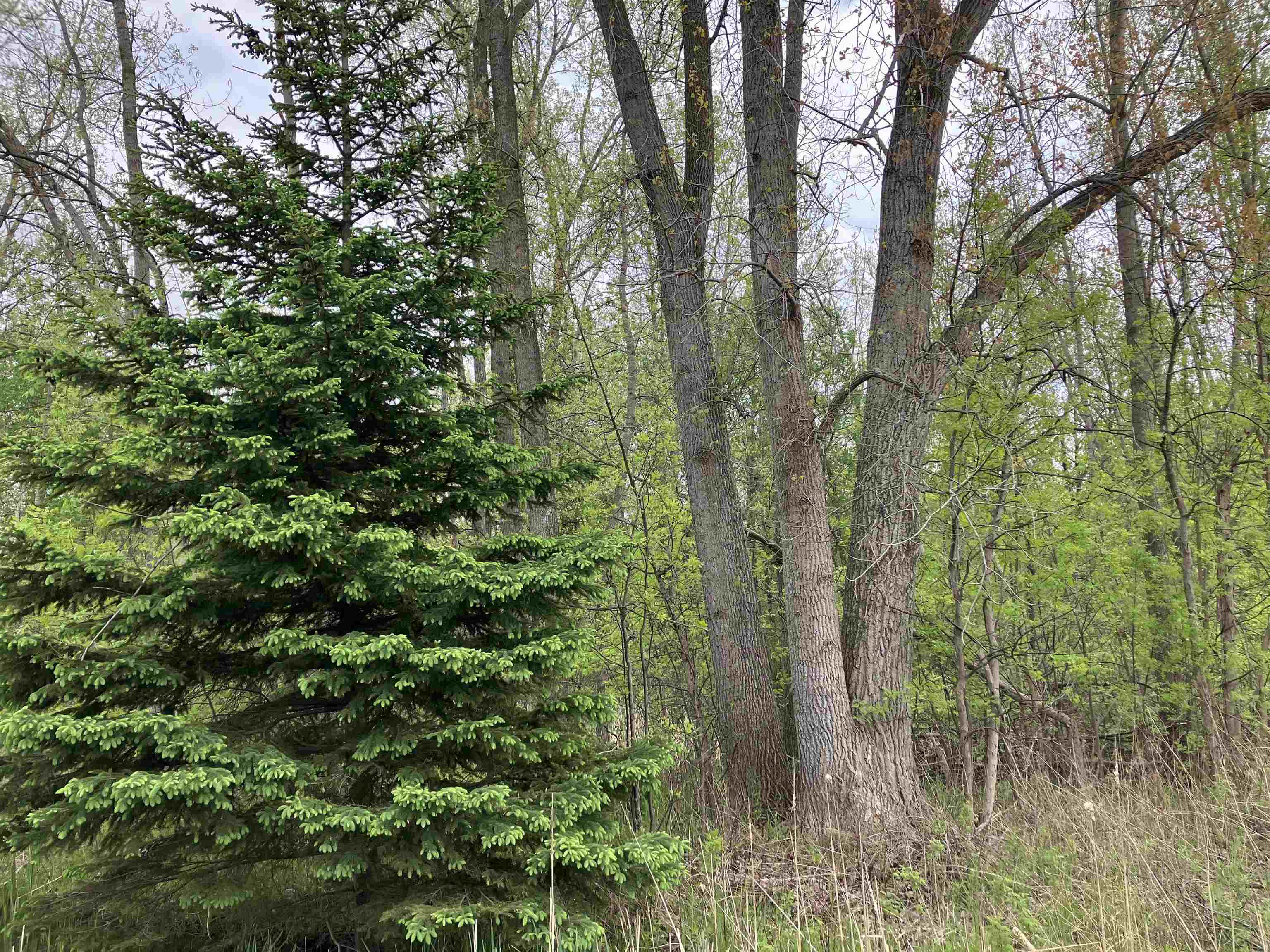 3.96-acres West Isabella Road Midland, MI 48640 - Photo 1 of 9