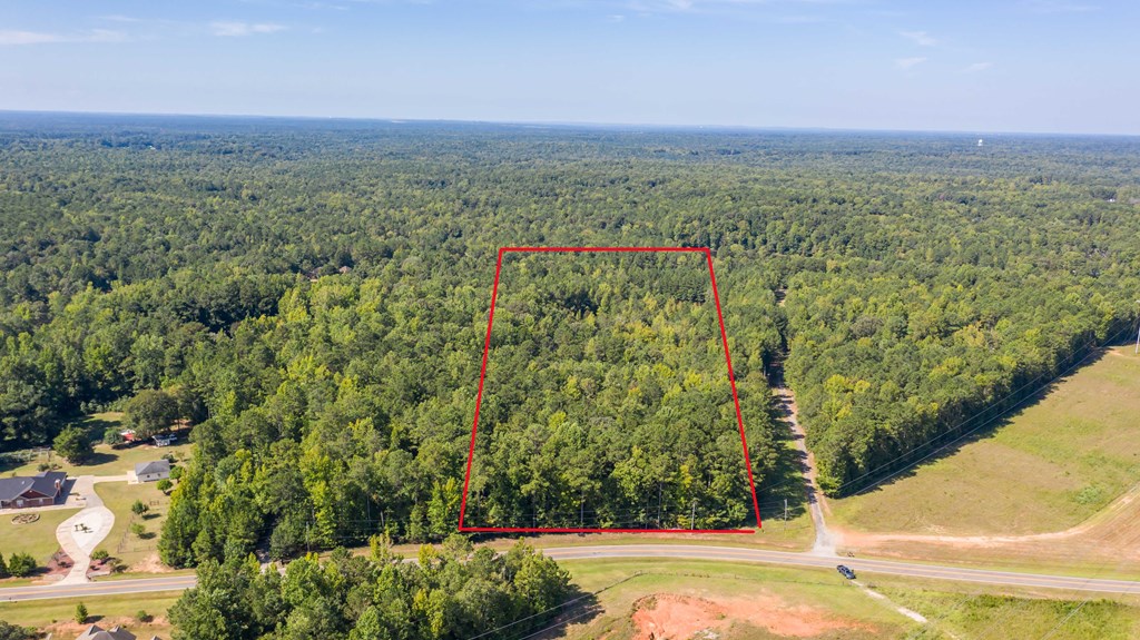 0 Mckee Road Upatoi, GA 31829 - Photo 11 of 16 Gallery Image 11
