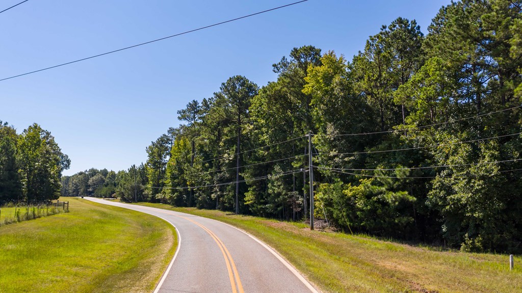 0 Mckee Road Upatoi, GA 31829 - Photo 12 of 16 Gallery Image 12