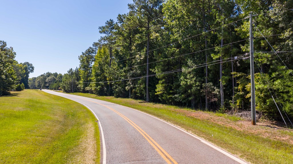 0 Mckee Road Upatoi, GA 31829 - Photo 13 of 16 Gallery Image 13