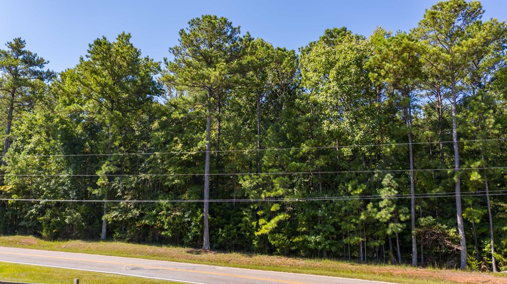 0 Mckee Road Upatoi, GA 31829 - Photo 14 of 16 Gallery Image 14
