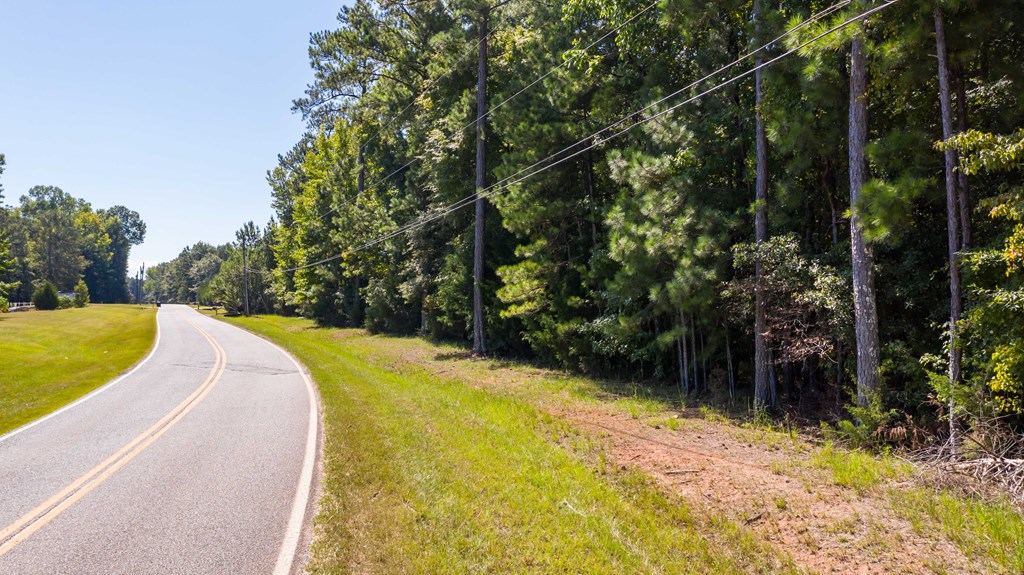 0 Mckee Road Upatoi, GA 31829 - Photo 16 of 16 Gallery Image 16