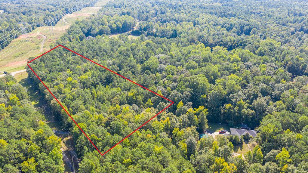 0 Mckee Road Upatoi, GA 31829 - Photo 3 of 16 Gallery Image 3
