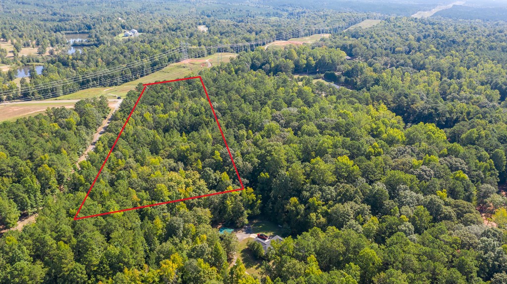 0 Mckee Road Upatoi, GA 31829 - Photo 4 of 16 Gallery Image 4