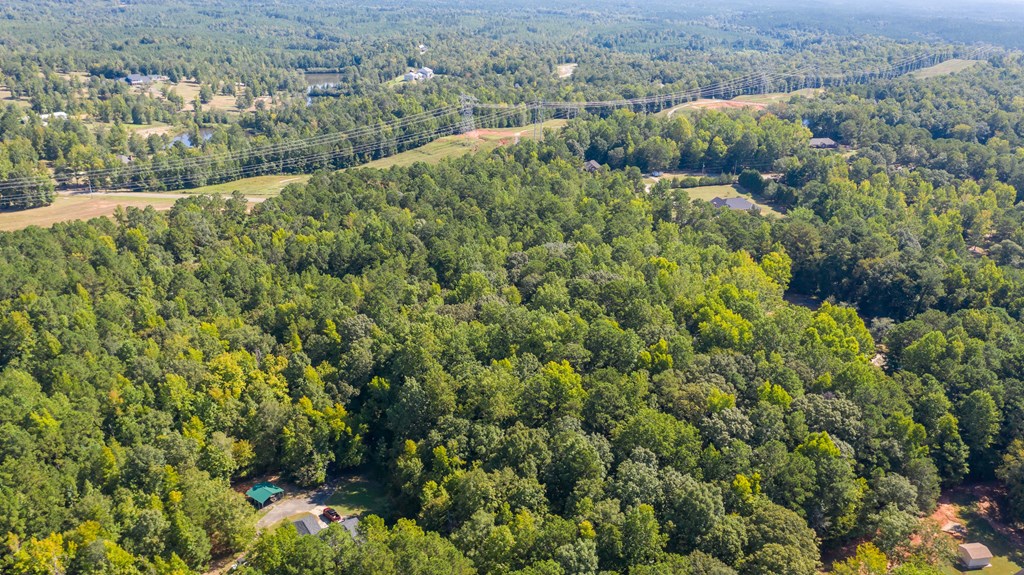 0 Mckee Road Upatoi, GA 31829 - Photo 5 of 16 Gallery Image 5
