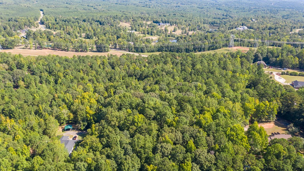 0 Mckee Road Upatoi, GA 31829 - Photo 6 of 16 Gallery Image 6